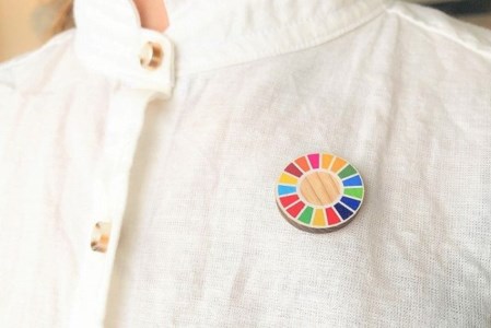 【小国町森林組合】阿蘇小国杉 SDGs ピンバッジ マグネット 計4個 小国杉 天然木 国産材 阿蘇 熊本 木製 サスティナブル アイコン 贈り物 ギフト プレゼント ノベルティにおすすめ 阿蘇小国杉