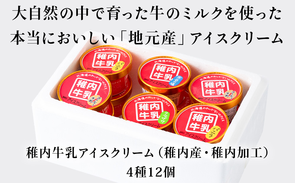 稚内牛乳 アイスクリーム 4種12個セット（バニラ、チョコ、宗谷の塩、稚内産クマザサ）
