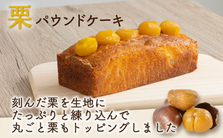 月に１本お届け！ドライフルーツと栗とりんごの自家製パウンドケーキ ３か月定期便 （１本　約15cm）