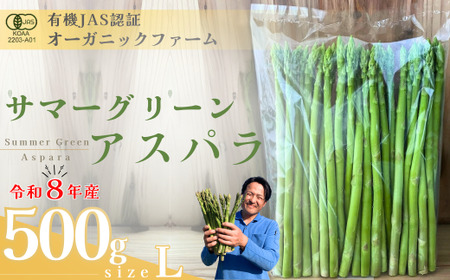 【先行予約】オーガニック サマーグリーンアスパラガス L 500g アスパラガス