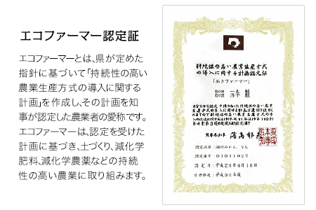 『松田農園』のみかんたっぷり約5kg (S-2Lサイズ)《11月上旬-1月下旬頃出荷》ジューシーで甘い♪ 予約受付中 フルーツ 秋 旬 熊本県 玉名郡玉東町『松田農園』手間暇かけたこだわりのミカン｜ブ
