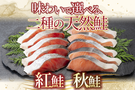 無添加甘塩天然鮭2種セット(計14切、約700g) G-14039