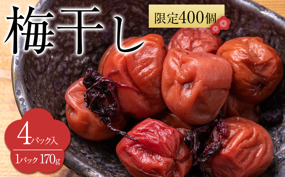 角田市 岸浪園 梅干し 170g ４パック入り 限定400個