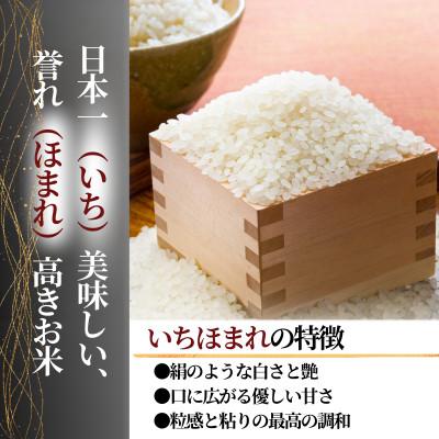 ふるさと納税 小浜市 福井県産いちほまれ　精米　2kg×3袋(合計6kg)福井県生まれのブランド米 |  | 01