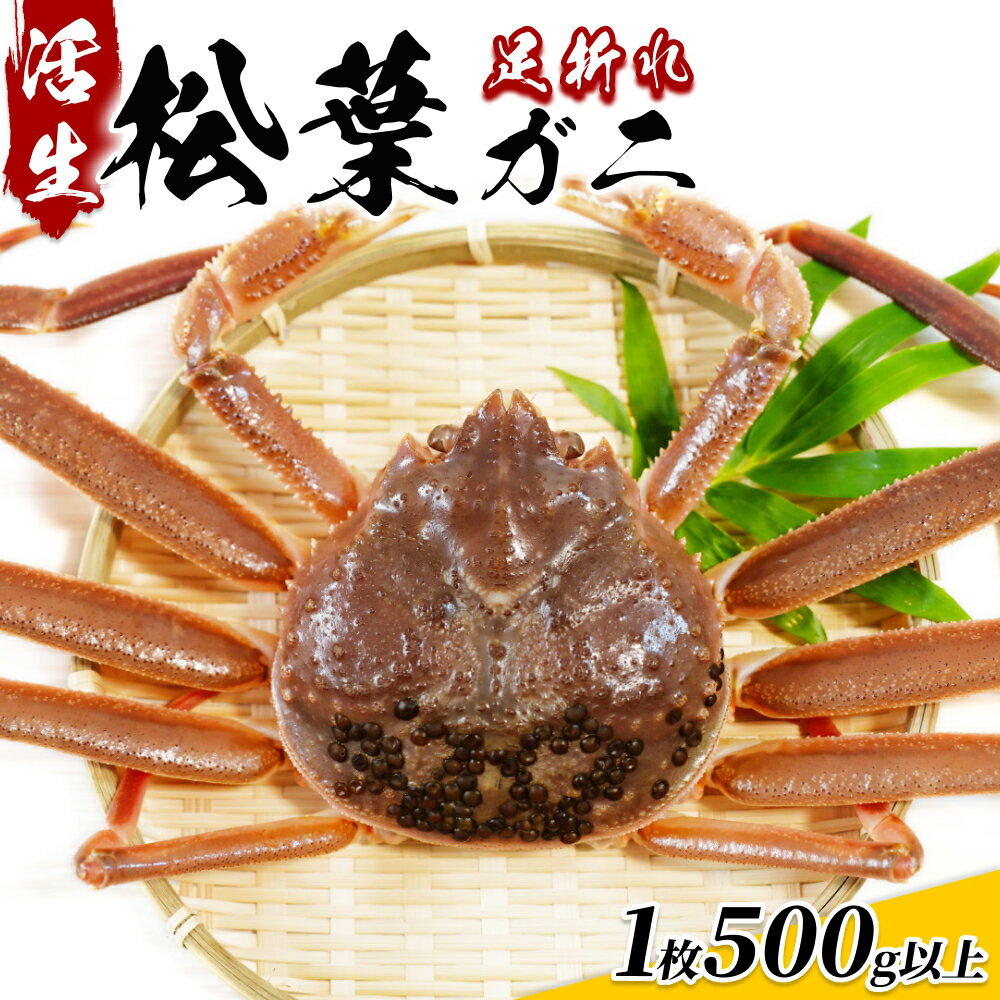 【ふるさと納税】松葉がに（足折れ1～2本）500g以上（生）鳥取県網代産｜鳥取県 岩美町 蟹 かに カニ 松葉ガニ 訳あり 訳アリ 新鮮 冷蔵【22015】