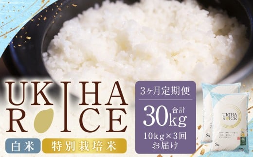 【3ヶ月定期便】 みずほファーム UKIHA RICE 白米 5kg?2袋?3回 （特別栽培米） 計30kg ヒノヒカリ ひのひかり 精米 米 こめ コメ お米 おこめ 白米 精米 ごはん ご飯 お中元 お歳暮 ギフト プレゼント 贈答品 定期便 おすすめ 国産