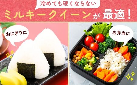 【令和7年度産】横田農場の特別栽培米ミルキークイーン 5kg | ミルキークイーン 米 茨城県 龍ケ崎市