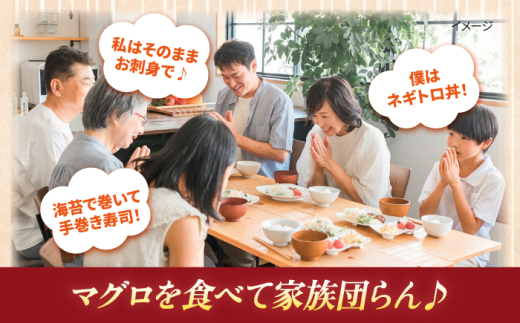 【全3回定期便】【訳あり】天然 本まぐろ 中トロ 計約900g (4柵入り) 鮪 マグロ 魚 刺身 横須賀【本まぐろ直売所】 [AKAK068]