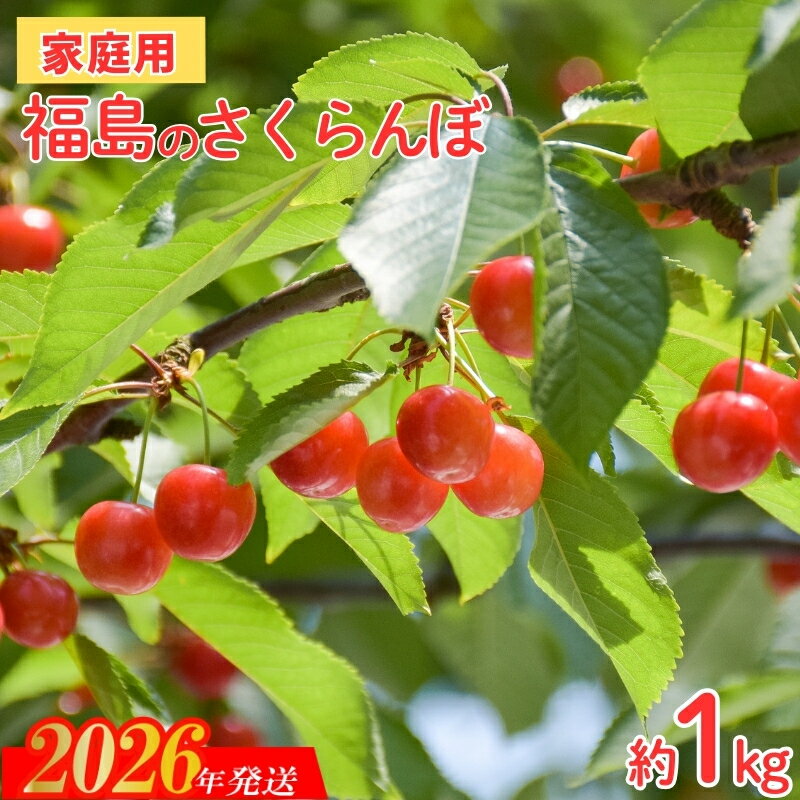 【ふるさと納税】No.2575【ご家庭用】さくらんぼ 品種お任せ 約1kg（バラ詰、小粒）【2026年発送 先行予約】