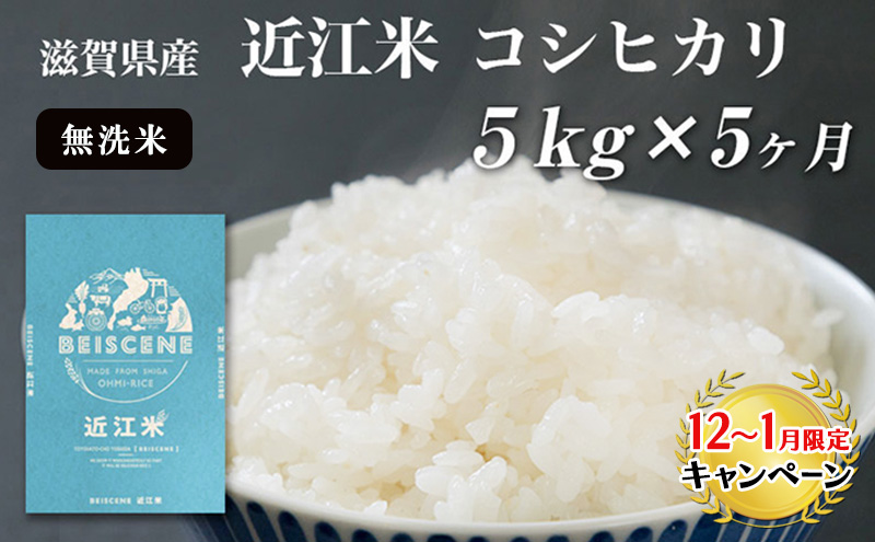 【12月～1月までの限定寄附額】 定期便 5kg×5ヶ月 コシヒカリ 無洗米 令和7年産 近江米
