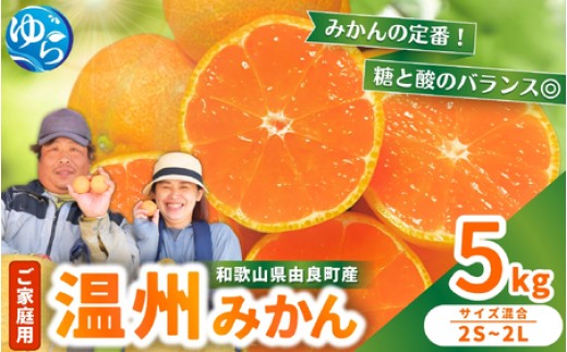 家庭用 温州みかん 5kg / 農家直送 くだもの  果実  柑橘 果物 フルーツ 国産 和歌山県 由良町 ご家庭用 人気 おすすめ ※2026年11月中旬頃～12月下旬頃に順次発送予定【nktn004-c-5】