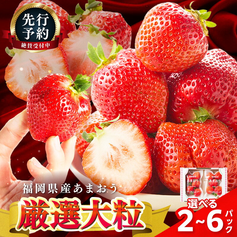【ふるさと納税】＼選べる内容量／【2027年先行予約】厳選大粒あまおう 約250-270g 2パック 4パック 6パック