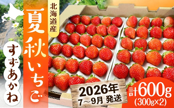 
                  【まもなく発送！ 2026年7月以降順次発送】夏秋イチゴ「すずあかね」計600g 《厚真町》【こばやしいちご農園】 [AXBT003] イチゴ 苺 いちご 贅沢 フルーツ 果物 北海道 9000 9000円
                
