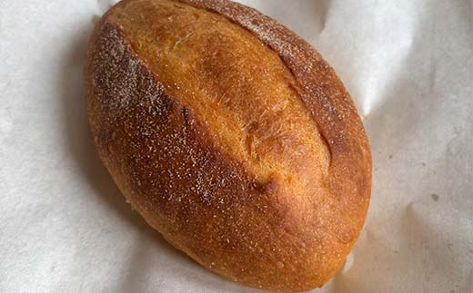 手作り 柔らかパンセット 10個 冷凍 パン 冷凍食品 おまかせ ギフト ティータイム こだわり 手作り 北海道 釧路 _F4F_8509