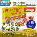 【ふるさと納税】アメリカンテイストクッキー（2枚入×4種7袋）2箱セット