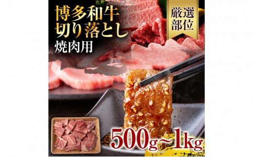
                  《通常配送or先行予約》訳あり【A4～A5】博多和牛焼肉切り落とし(肩ロース・バラ）500g  1kg 黒毛和牛 お取り寄せグルメ お取り寄せ お土産 九州 福岡土産 取り寄せ グルメ MEAT PLUS CP-S0005 CP021 CP022
                