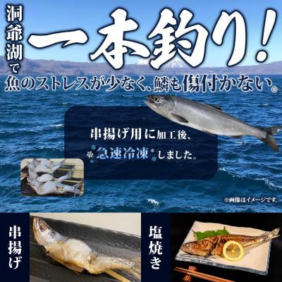ふるさと納税 洞爺湖町 北海道 洞爺湖産 一本釣り ヒメマス 串揚げ用 約100g×4尾 尾頭付き 冷凍 |  | 01