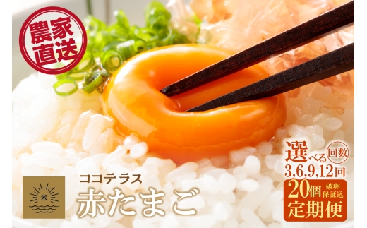 
                  【3～12ヵ月定期便】ココテラスの明日（赤たまご）15個 + 5個保証（計20個）選べる定期便回数【JGAP認証】
                