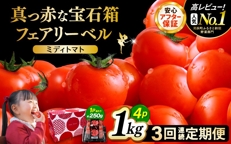 
                  定期便 ≪3ヶ月連続お届け≫じゅわっと極旨のフルーツミディトマト 約1kg【 とまと トマト フルーツトマト ミニトマト トマトジュース 野菜 やさい 人気 新鮮 産地直送 甘い 高糖度 完熟 食べやすい リコピン ビタミン ダイエット 美容 美肌 】 [m37-a027]
                