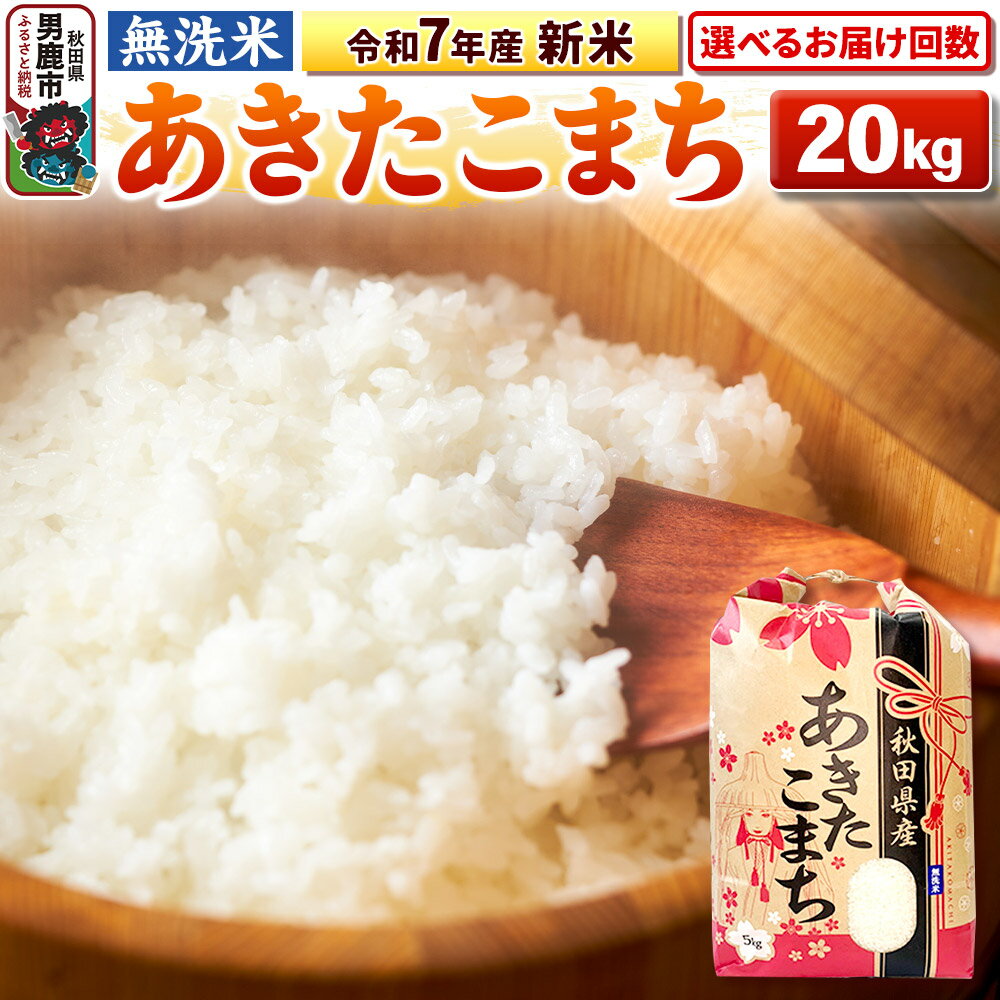 【ふるさと納税】《令和7年産 新米》【無洗米】あきたこまち 20kg（5kg×4袋） 秋田県 男鹿市 こまちライン【選べるお届け回数】