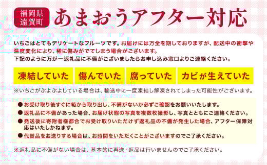 【アフター対応】あまおう 約280g×6パック【2025年1月上旬～3月下旬発送予定】 苺 イチゴ いちご 果物 フルーツ福岡県 遠賀町