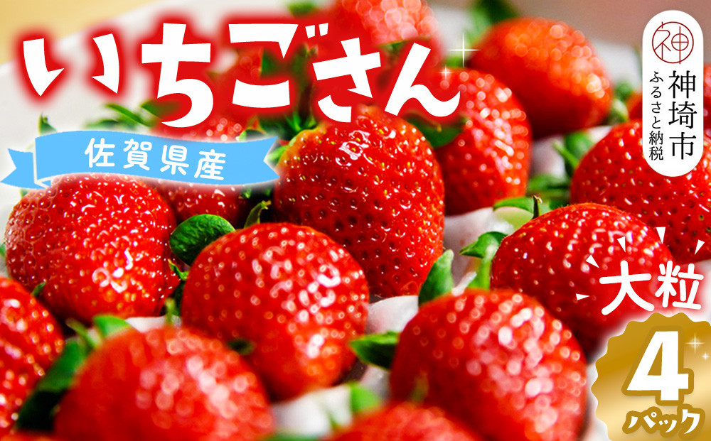 
            【先行受付 令和7年1月より発送】佐賀県産『いちごさん』4Pセット【苺 イチゴ ブランドいちご 大粒 果物 フルーツ デザート ふるさと納税】(H108101)
          