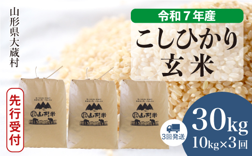 ＜令和7年産米先行受付＞ 令和8年5月下旬より発送 大蔵村産 こしひかり【玄米】30kg 定期便 (10kg×3回) 