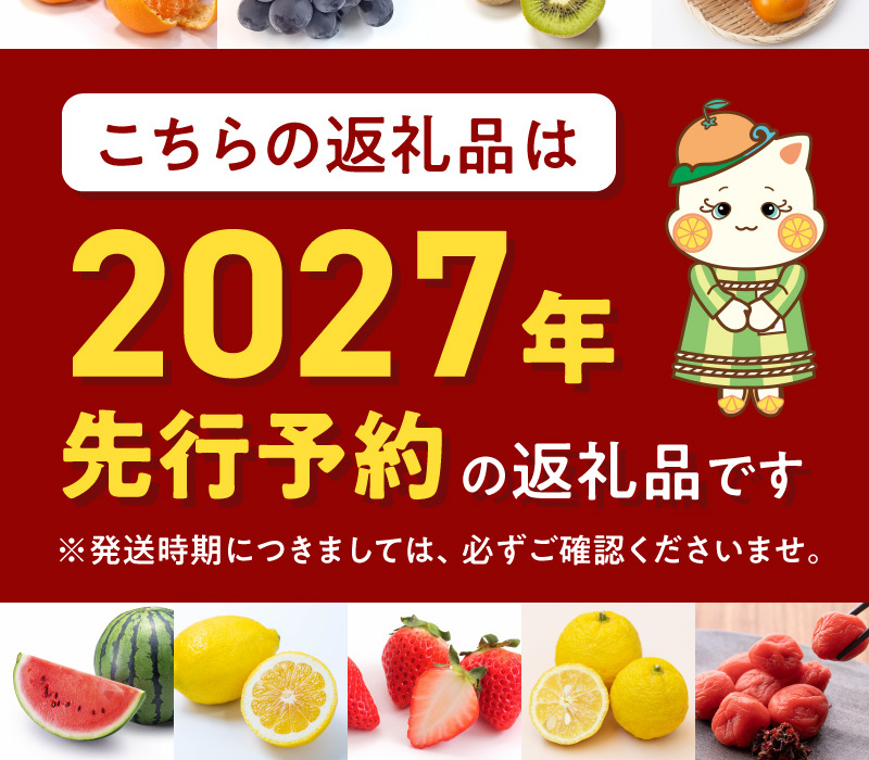 【2027年先行予約】ネーブル[約7kg]和歌山県有田産 春みかん (果実サイズおまかせ) 春みかん 紀伊国屋文左衛門本舗_V7400_イメージ3