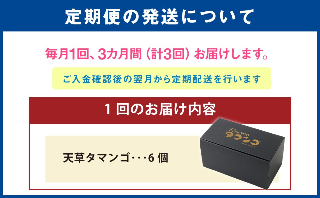 熊本県天草市で生まれたブランド卵「天草タマンゴ」6個入 ／ 化粧箱×3回 計18個 化粧箱入