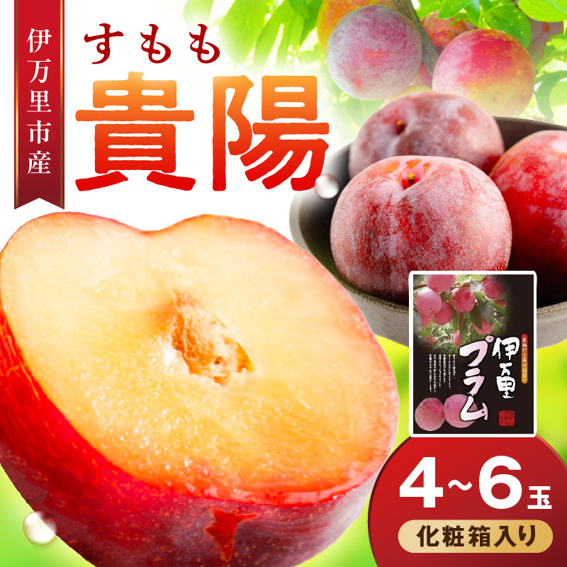 
            【先行予約】伊万里のすもも「貴陽」化粧箱入り（4～6玉） 003-B960
          