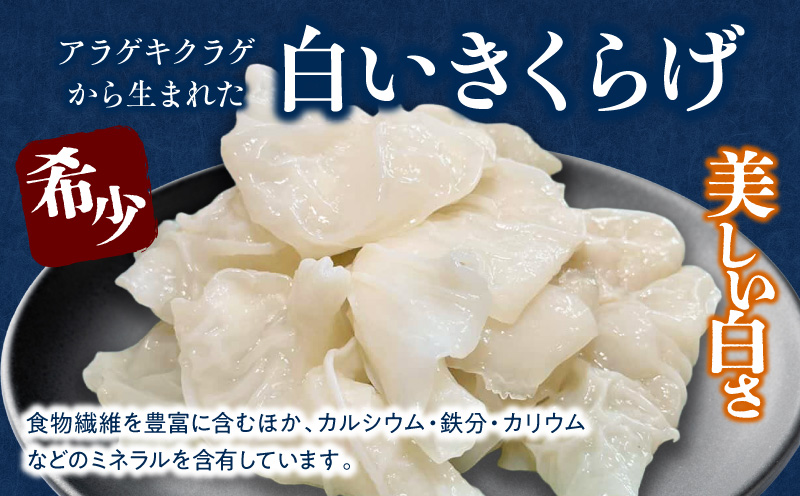 白いきくらげ「きくらげ姫」(乾燥タイプ)45g きくらげ 白いきくらげ 木耳