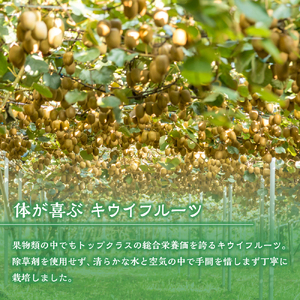 体が喜ぶ☆キウイフルーツ 1.7kg～2kg 【2026年12月上旬-2027年4月下旬発送】 浦田農園 キウイフルーツ キウイ フルーツ くだもの 果物 ミネラル豊富 太良町 国産 贈答用