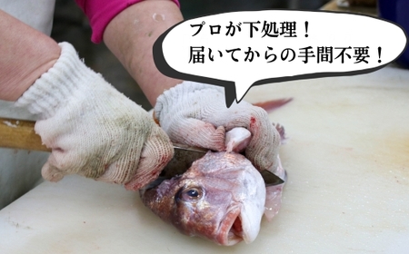 下処理済み 天然魚・切り身・アラセットA タレ付き 岬だより