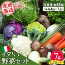 【ふるさと納税】年間定期便48回 イタリア野菜セットショート 7品 【有機野菜 おまかせ野菜セット イタリア野菜 西洋野菜 定期便】(H078128)