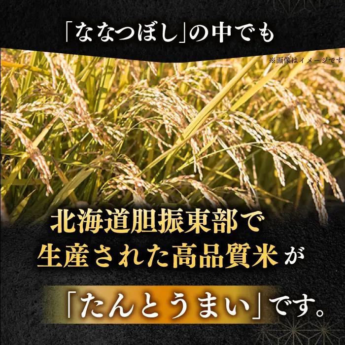 令和7年産 令和8年産 【全12回定期便】ななつぼし [たんとう米] 10kg 米 定期便 1年 12ヵ月 お米 白米 ご飯 ななつぼし 北海道 [AXAB022]