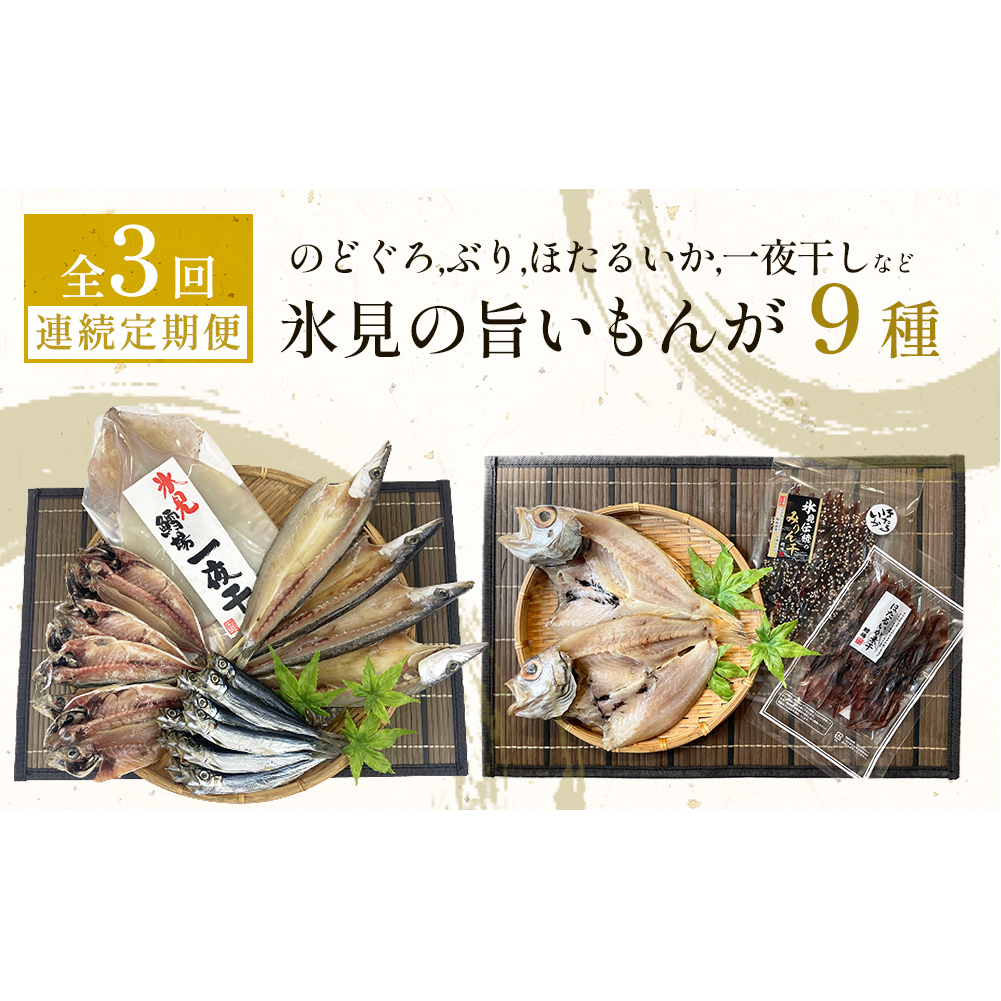 【定期便全３回連続お届け】 「のどぐろ」「氷見ぶり」「ほたるいか」「氷見産一夜干し」など氷見の旨いもんが９種！ 富山県 氷見市 ノドグロ ホタルイカ ブリ 魚介 冷凍 詰め合わせ