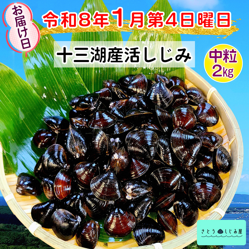 [令和8年1月第4日曜日配達] さとうしじみ屋の十三湖産活しじみ(中粒2kg)[冷蔵]｜十三湖産 青森 津軽 つがる しじみ みそ汁 味噌汁 しじみ汁 活しじみ 冷蔵 [0806]