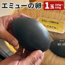 【ふるさと納税】エミューの卵 350～550g 1玉 たまご エミュー 食用卵 鶏のたまごの約5倍 菊池市 熊本県 送料無料