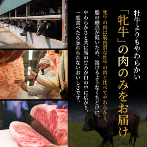神戸ビーフセット 神戸牛 極上焼肉 3種 食べ比べ 神戸ビーフセット【計900g】【冷凍】