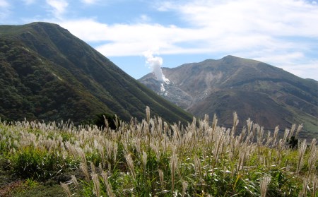 ガイドと楽しむタデ原湿原から指山 登山散策チケット 1枚6名様まで