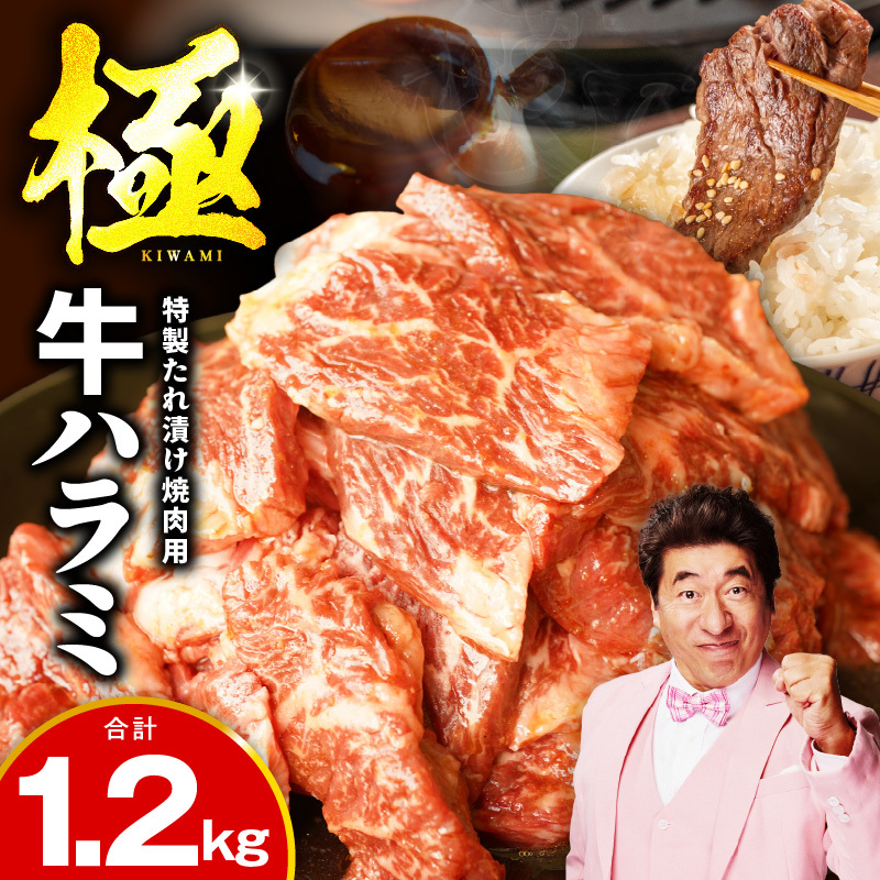 牛肉 ハラミ 1.2kg 小分け 300g×4P【氷温熟成×特製ダレ 味付き 牛肉 訳あり 不揃い 焼肉 BBQ 野菜炒め】 mrz0027