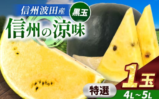 【先行受付：2026年7月発送】信州波田産 高級 黒玉スイカ！信州の涼味 【特選】 4L～5Lサイズ 1玉｜ふるさと納税 長野県 信州 松本 果物 フルーツ すいか スイカ 西瓜 贈答 季節限定 甘い くだもの ふるーつ
