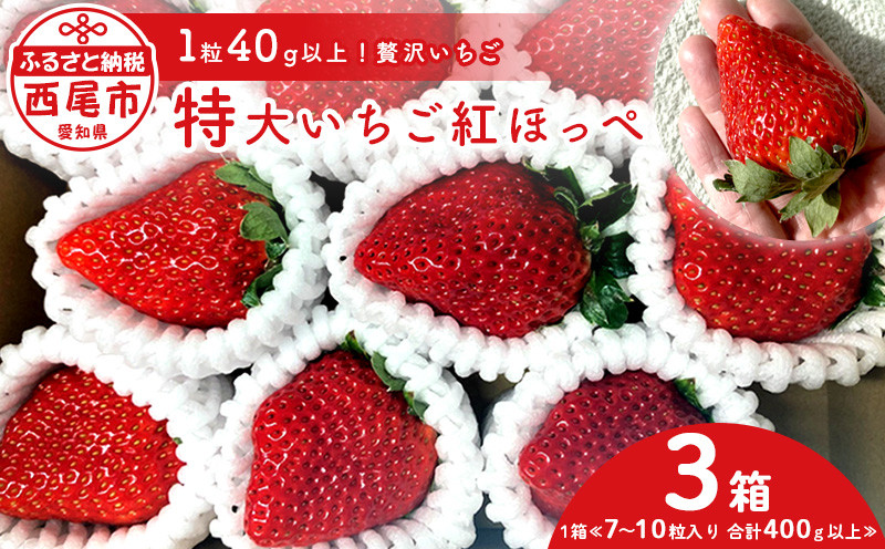 
特大いちご(紅ほっぺ)　400g以上(7～10粒、1粒40g以上) ×3箱・O042
