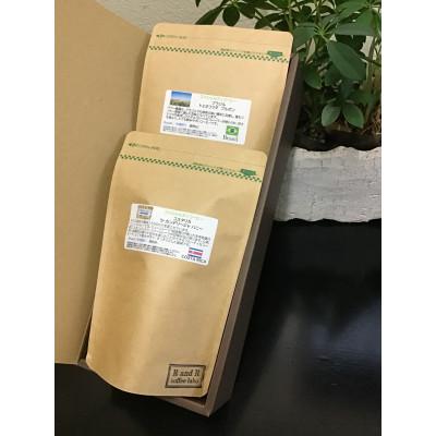 ふるさと納税 諫早市 自家焙煎スペシャルティコーヒーおまかせセット　スタンダード(豆のまま)2袋