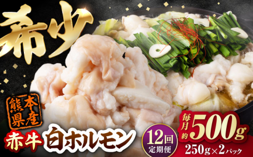 【全12回定期便】 赤牛 ホルモン 500g（250g×2パック） / お肉 肉 牛肉 あか牛 小腸 シロホルモン もつ 熊本県産 冷凍【五右衛門フーズ熊本店】 [AYBV039]