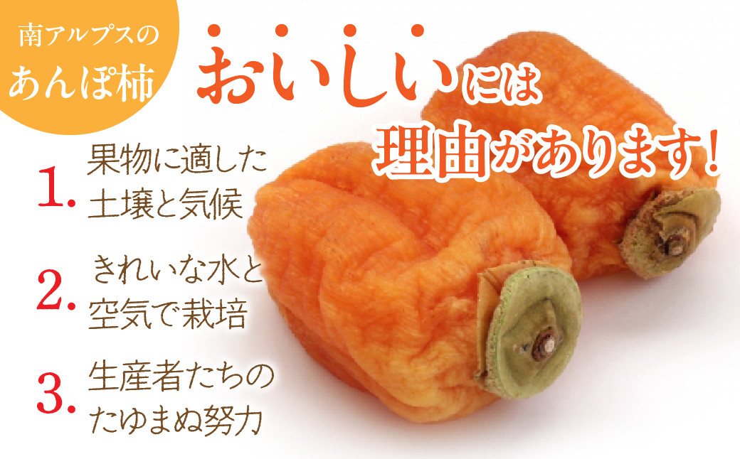 ＜2026年発送先行予約＞あんぽ柿【百目柿】［1個入り×12パック］ ALPAA019