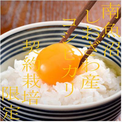 ふるさと納税 南魚沼市 【発送月固定定期便】契約栽培限定 南魚沼しおざわ産コシヒカリ 精米4Kg全9回 |  | 01