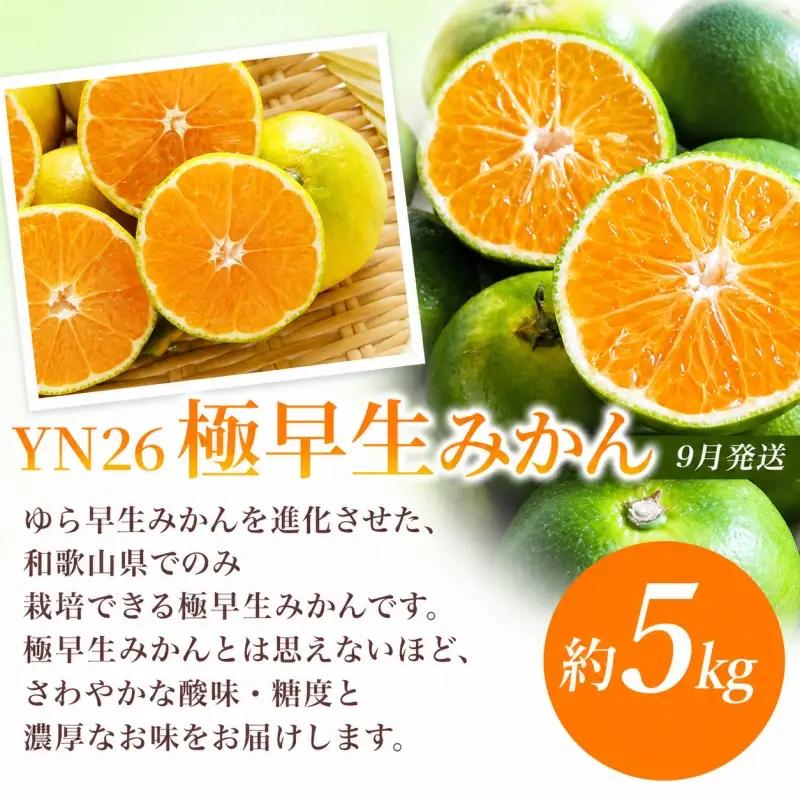 【定期便】夏の人気フルーツ定期便！桃・ピオーネ・極早生みかん（全3回）/ フルーツ 果物 もも モモ ぶどう ブドウ みかん ミカン 柑橘 旬 定期便  【tkb153】