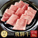 【ふるさと納税】飛騨牛A5 焼肉用 300g ロース 又は 肩ロース肉 ｜国産 肉 牛肉 焼肉 和牛 黒毛和牛 グルメ A5等級 おすすめ AD114【飛騨牛 和牛ブランド 飛騨牛 黒毛和牛 飛騨牛 岐阜 大野町 飛騨牛】