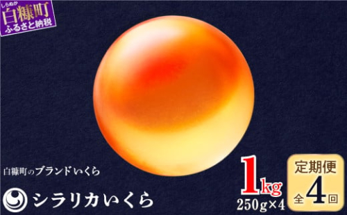 年4回お届け定期便 シラリカいくら（生いくら） 1kg(250g×4) お好みに味付けができます いくら イクラ 生いくら 生イクラ 小分け 鮭いくら 鮭イクラ いくら醤油漬 イクラ醤油漬 鮭 鮭卵 いくら醤油漬け ikura 醤油いくら 醤油イクラ 冷凍いくら いくら無添加 いくら鮭 ふるさと納税 北海道 白糠町
